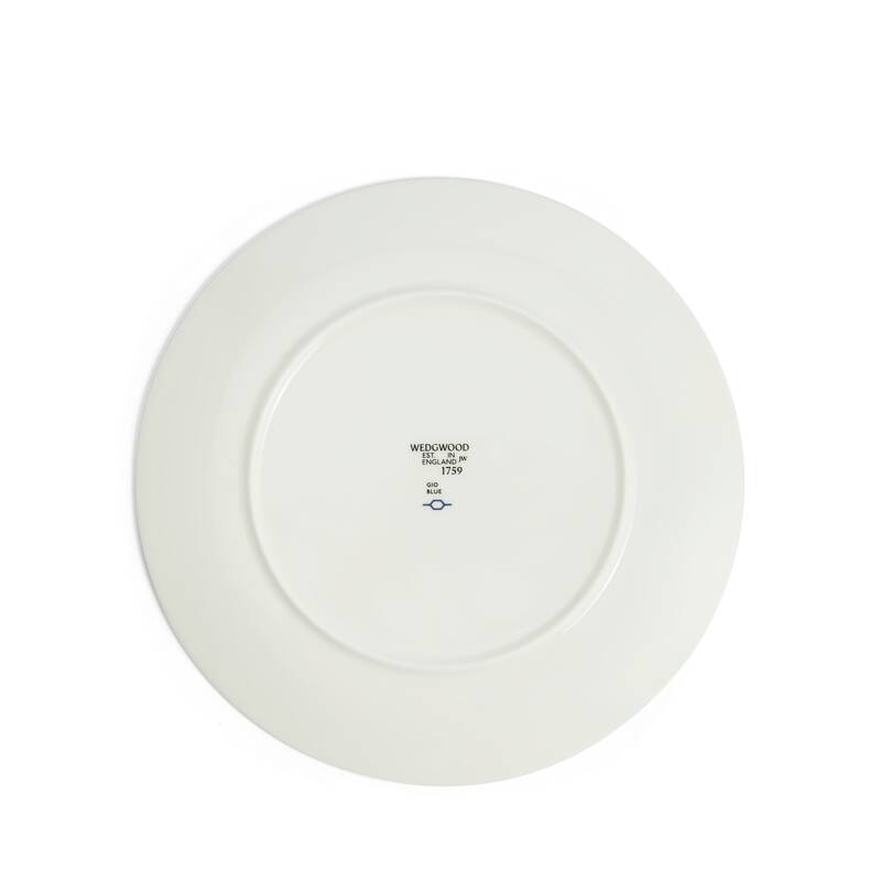 【公式オンラインストア6月11日先行発売】ジオ ブルー プレート 24cm ピンストライプ ブルー