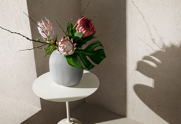 【公式オンラインショップ先行発売】 「ジャスパー フォリア ベース」誕生